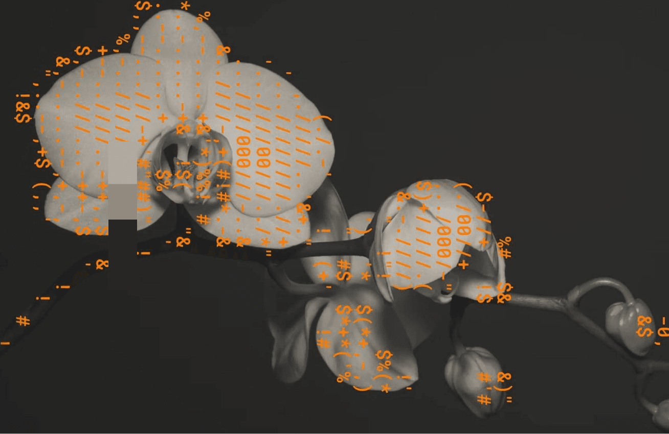 Velocity Over Volume: The New Math of AI Development